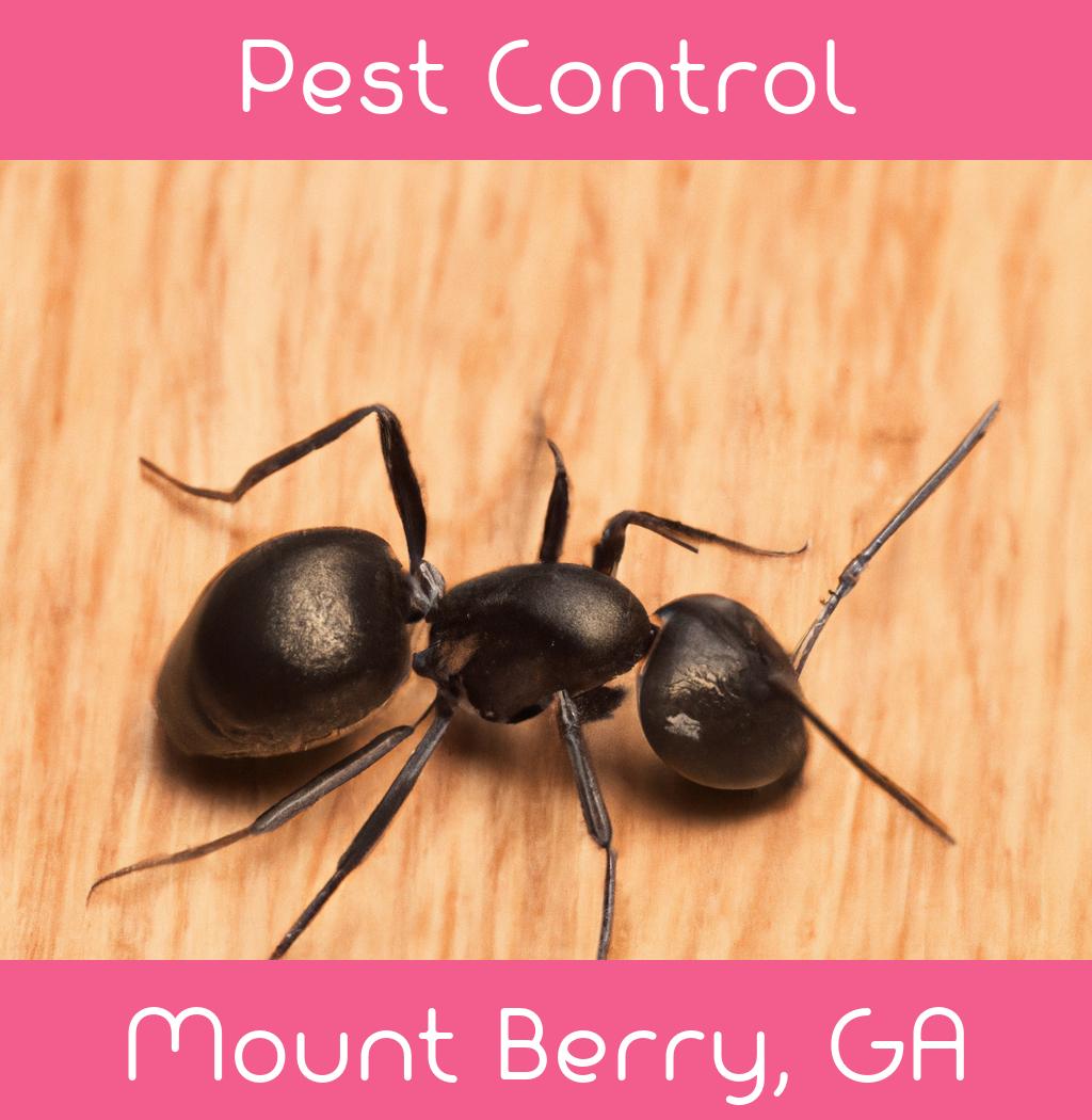pest control in Mount Berry Georgia