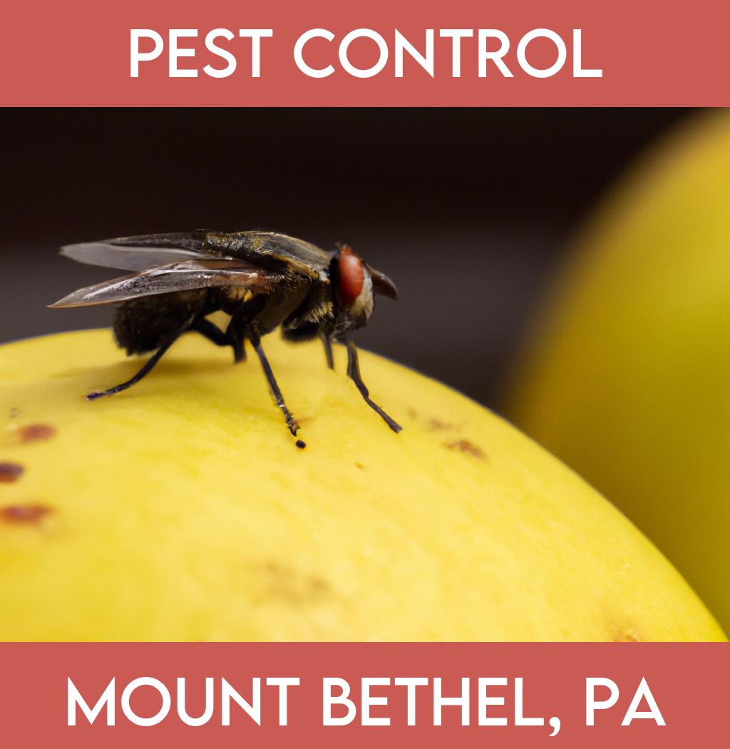 pest control in Mount Bethel Pennsylvania