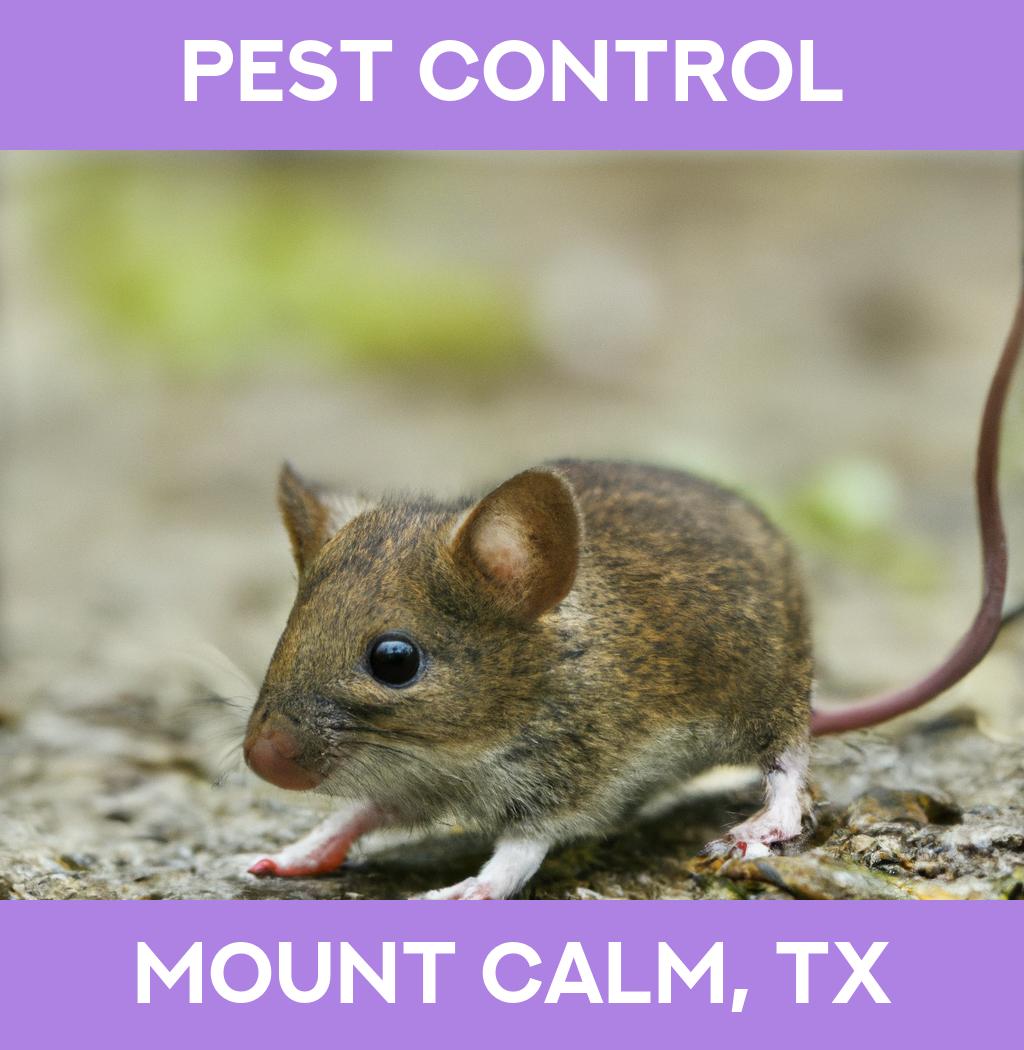 pest control in Mount Calm Texas