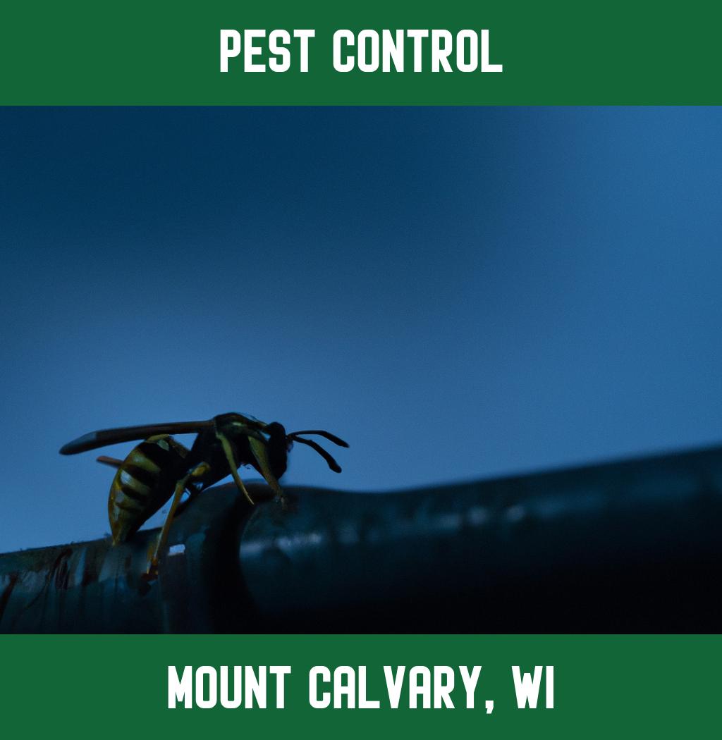pest control in Mount Calvary Wisconsin