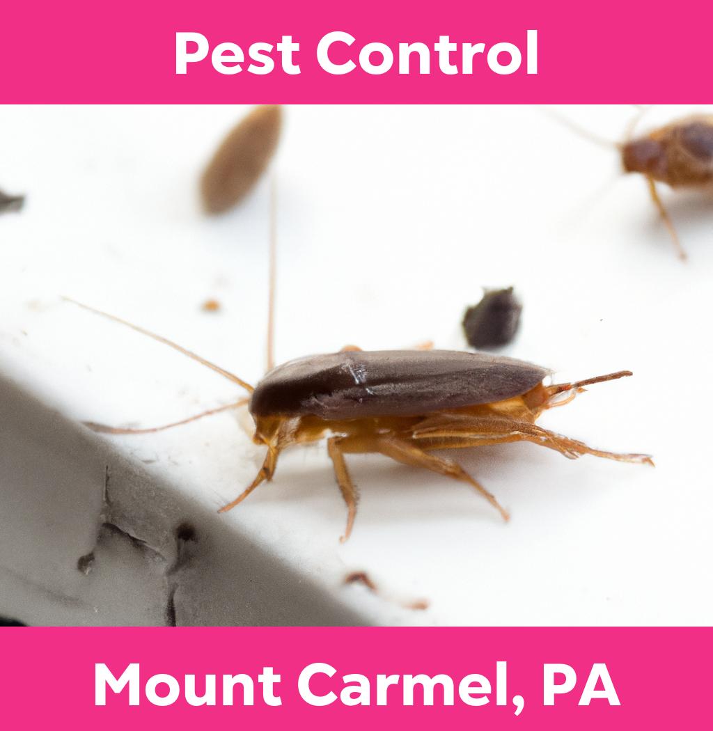 pest control in Mount Carmel Pennsylvania