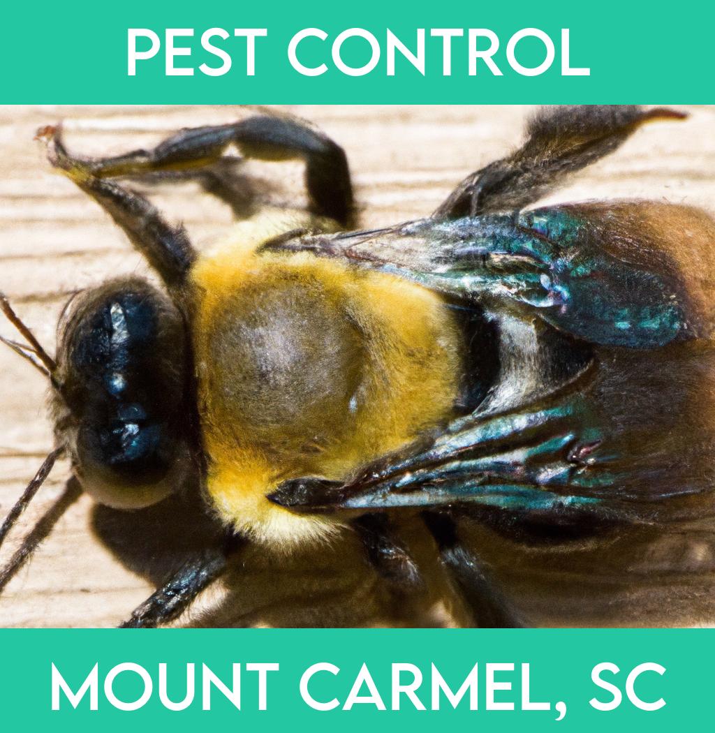 pest control in Mount Carmel South Carolina