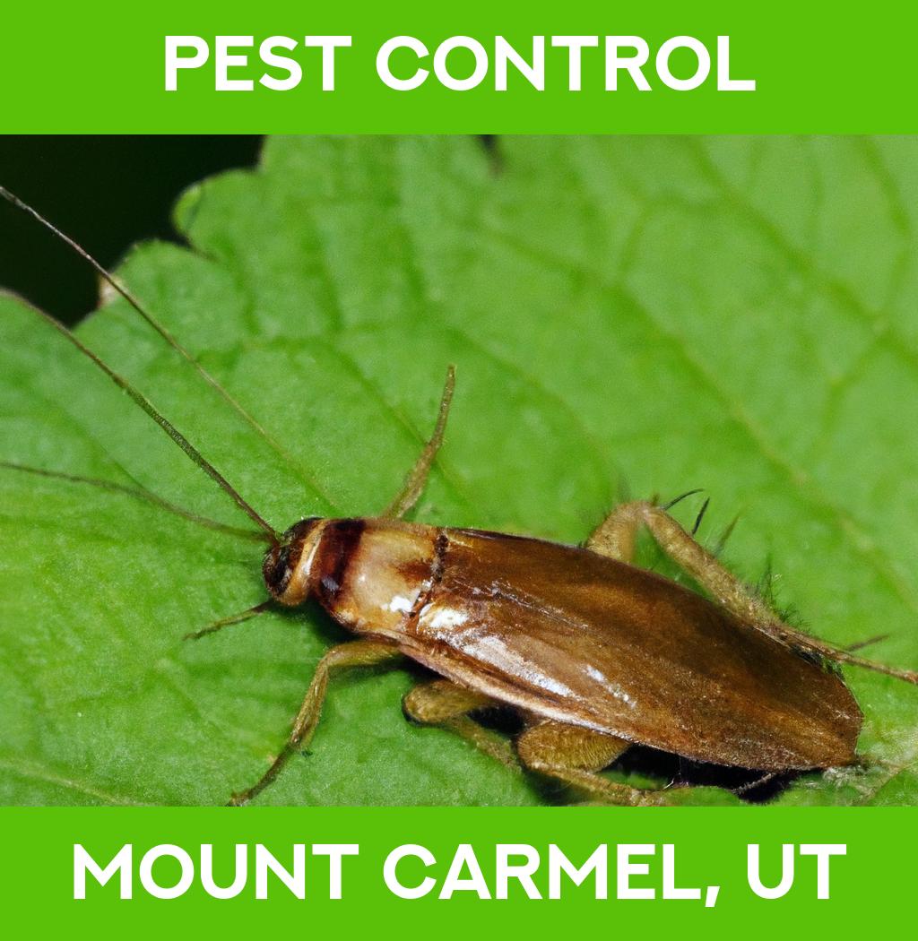 pest control in Mount Carmel Utah