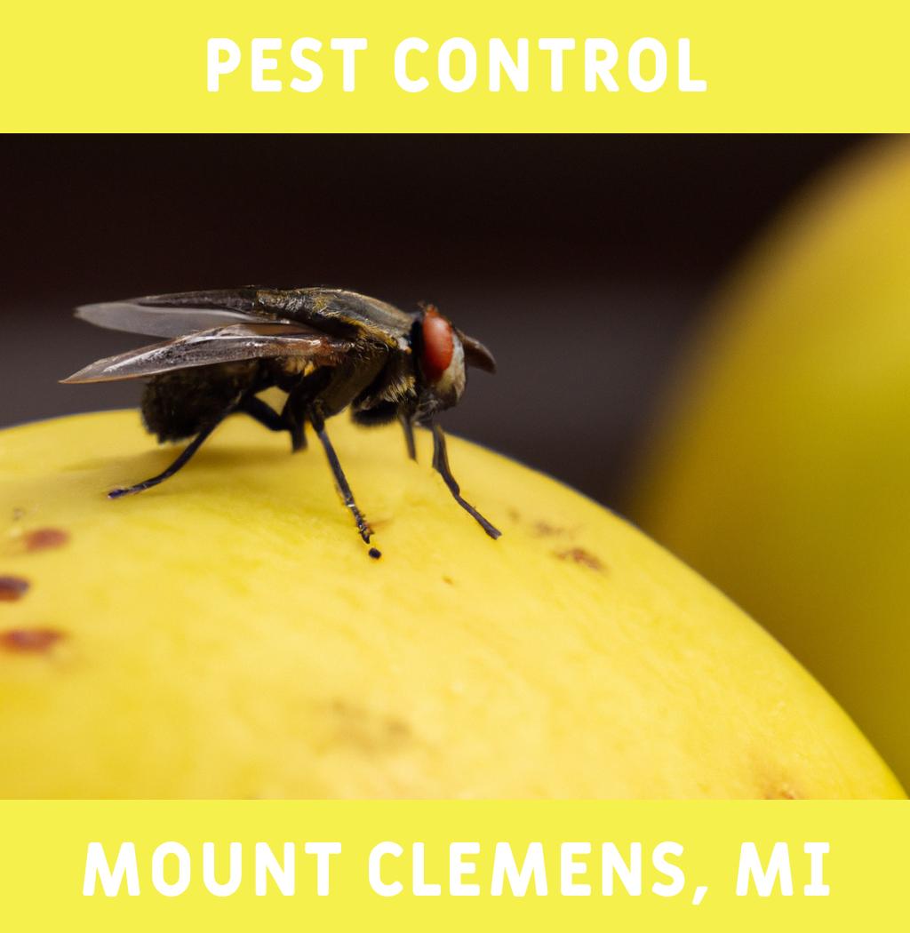 pest control in Mount Clemens Michigan