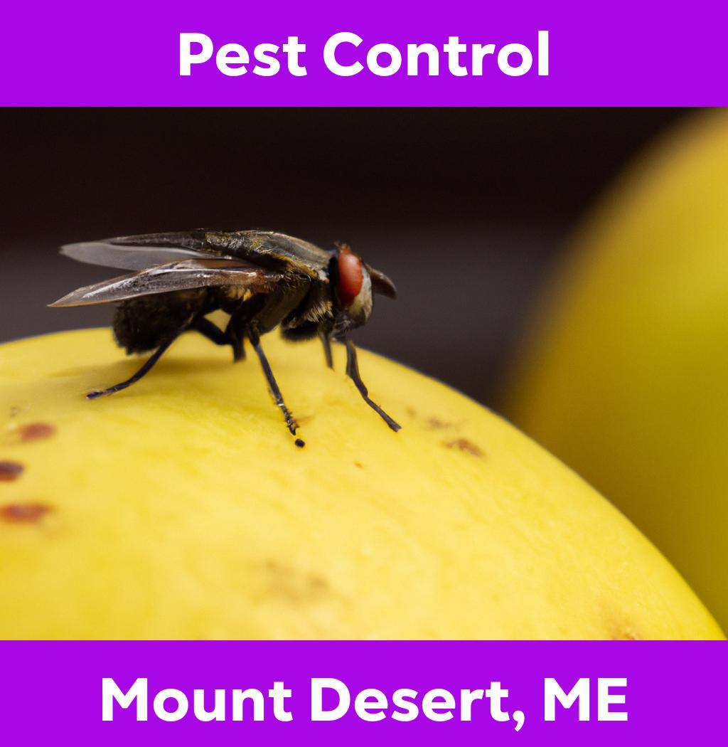 pest control in Mount Desert Maine