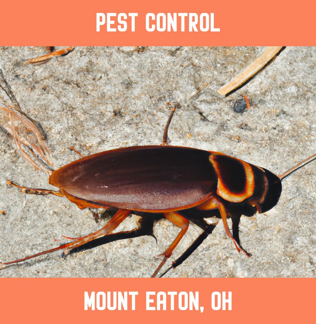 pest control in Mount Eaton Ohio