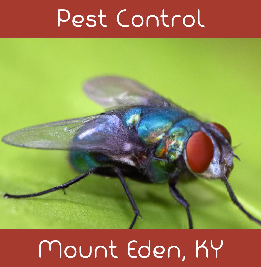 pest control in Mount Eden Kentucky