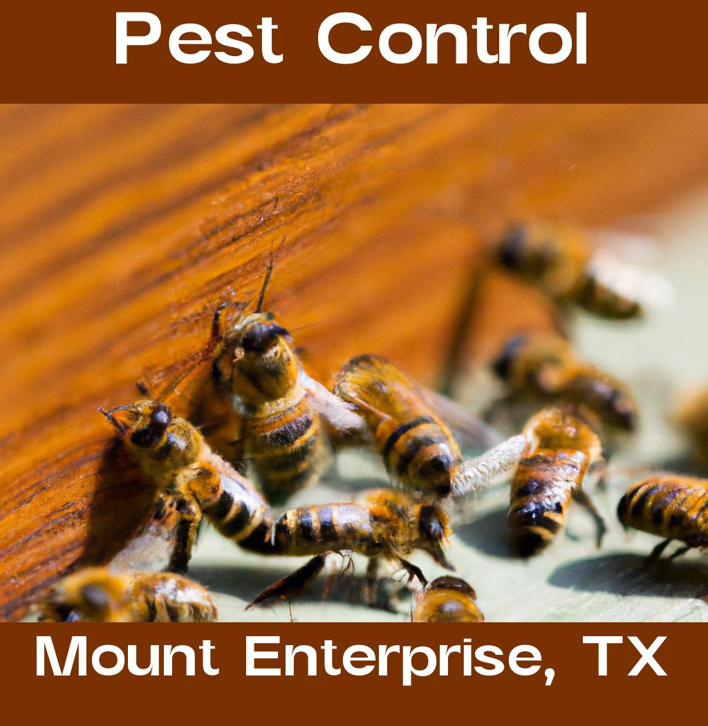 pest control in Mount Enterprise Texas