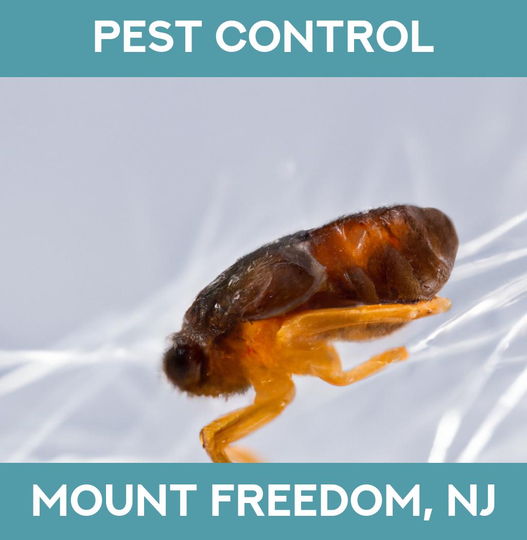 pest control in Mount Freedom New Jersey