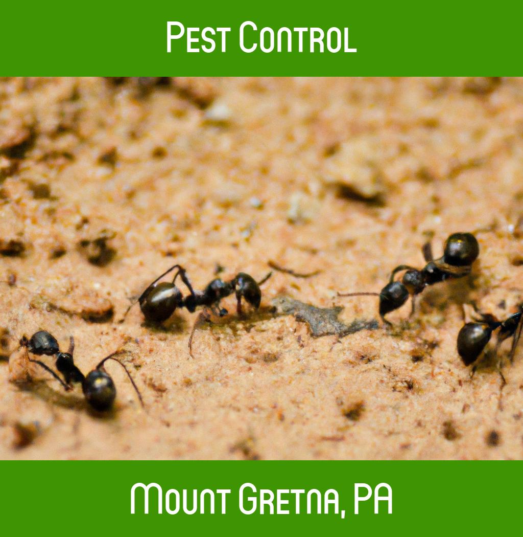 pest control in Mount Gretna Pennsylvania