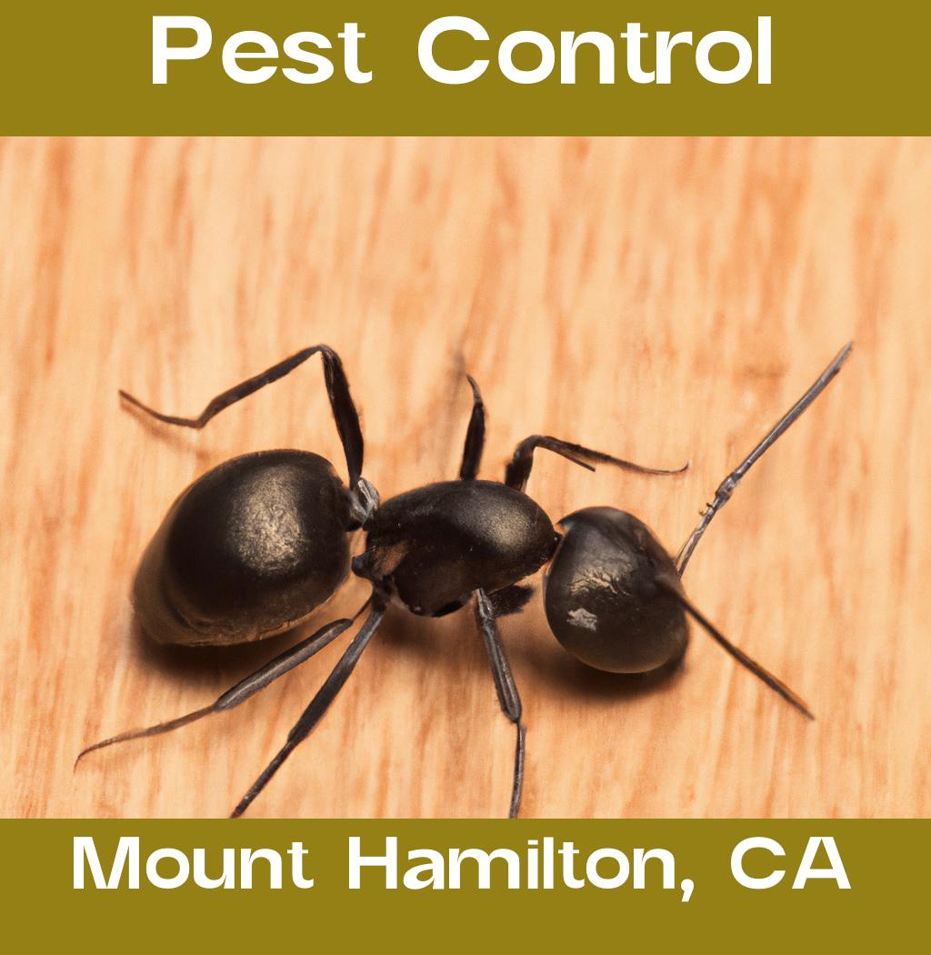 pest control in Mount Hamilton California