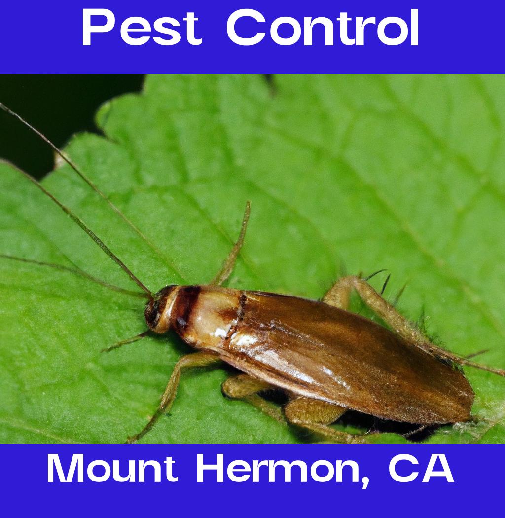 pest control in Mount Hermon California