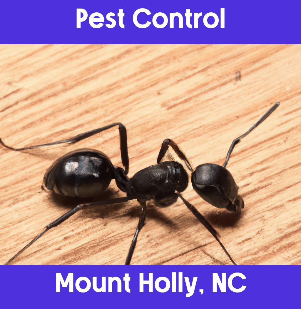 pest control in Mount Holly North Carolina