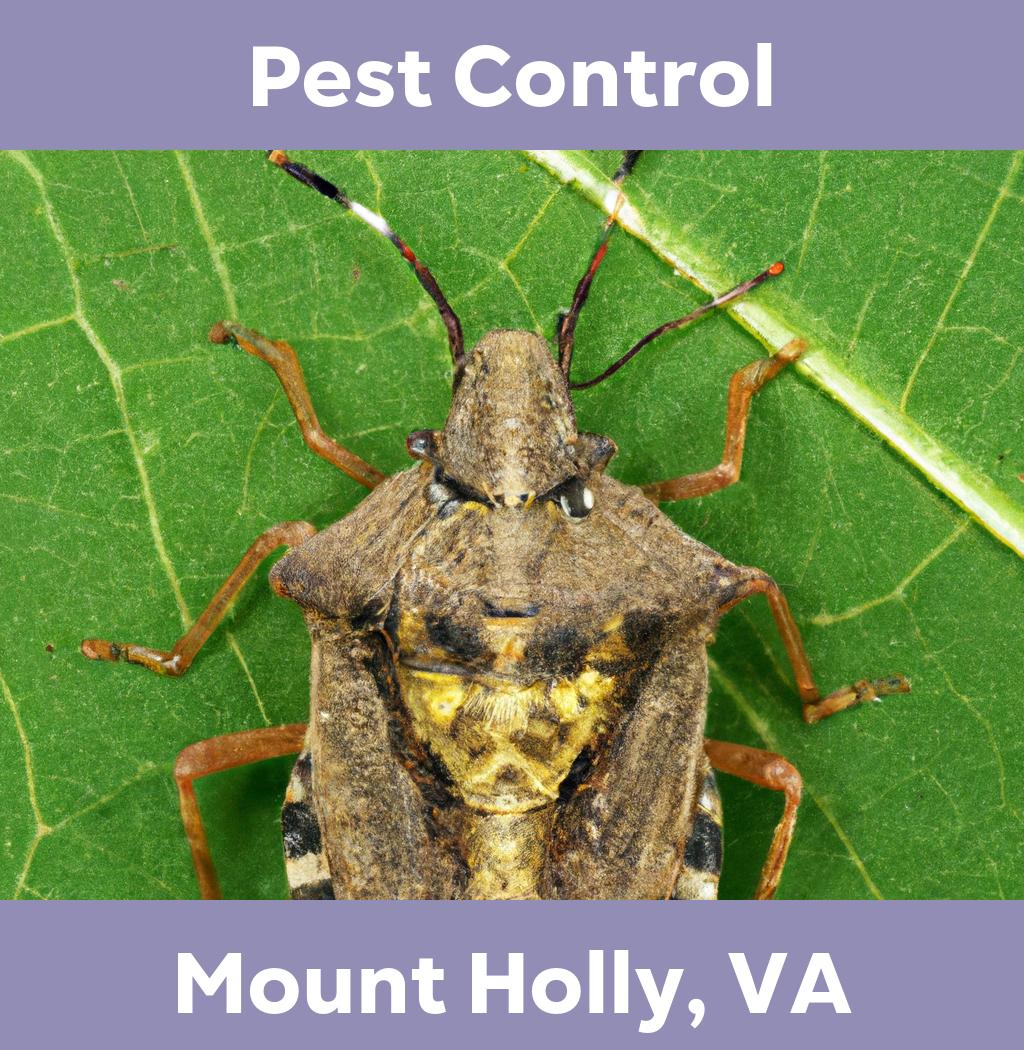 pest control in Mount Holly Virginia