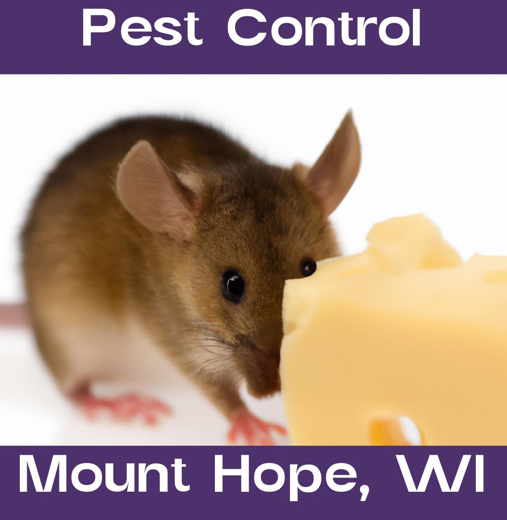 pest control in Mount Hope Wisconsin