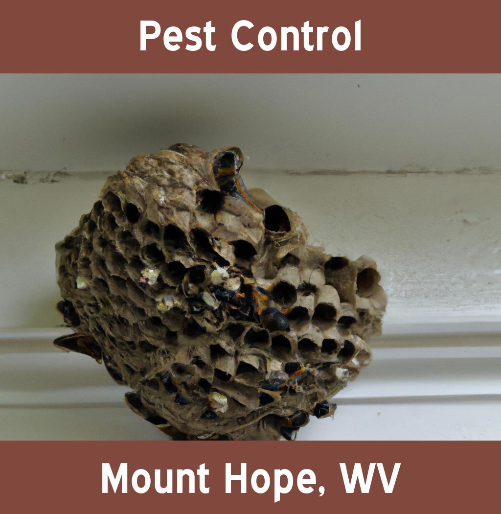 pest control in Mount Hope West Virginia
