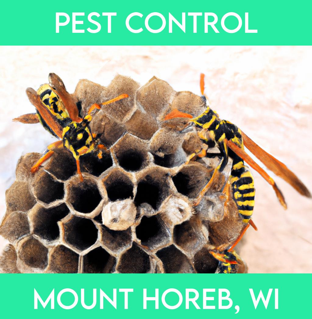 pest control in Mount Horeb Wisconsin