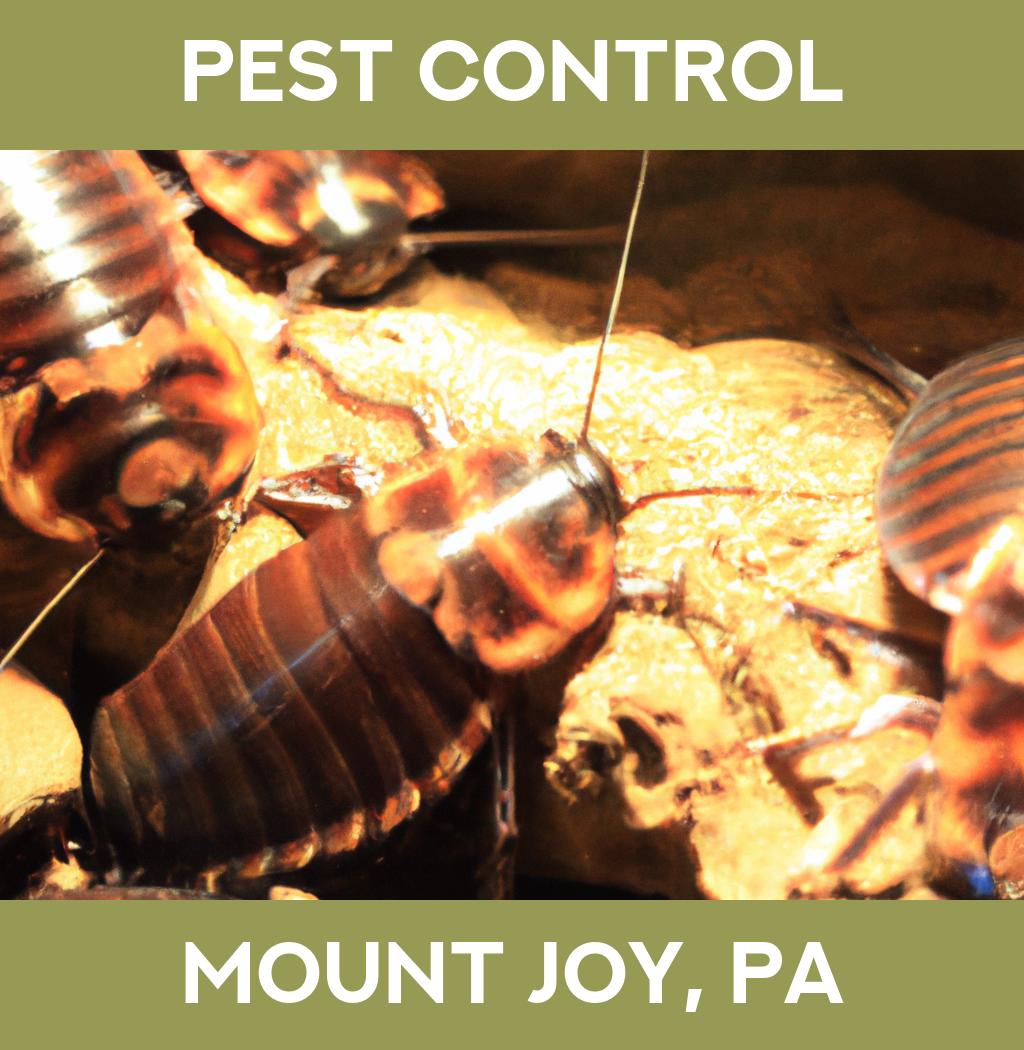 pest control in Mount Joy Pennsylvania