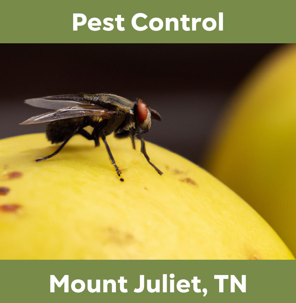 pest control in Mount Juliet Tennessee