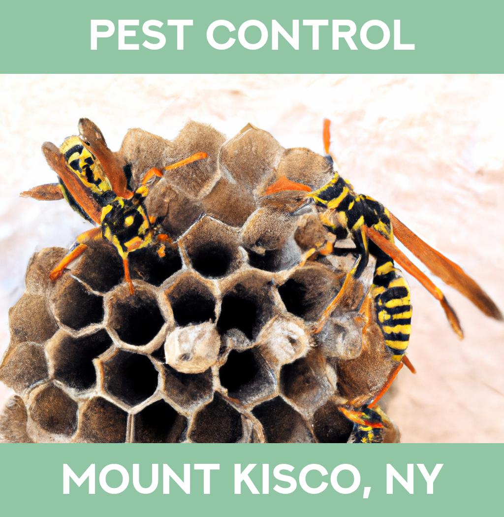 pest control in Mount Kisco New York