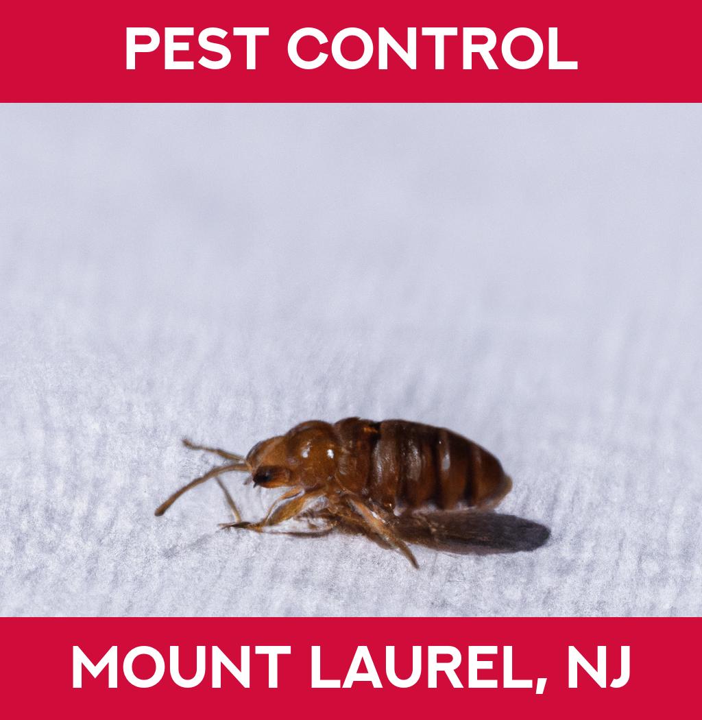 pest control in Mount Laurel New Jersey