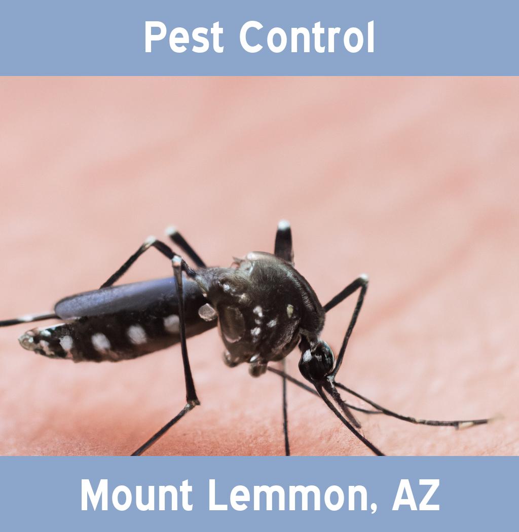 pest control in Mount Lemmon Arizona