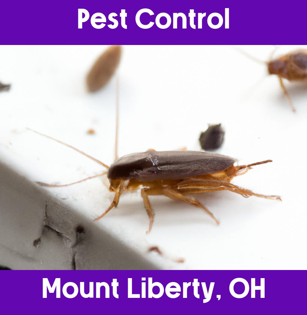 pest control in Mount Liberty Ohio