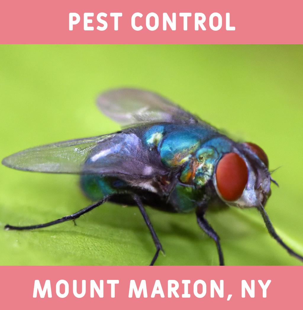 pest control in Mount Marion New York
