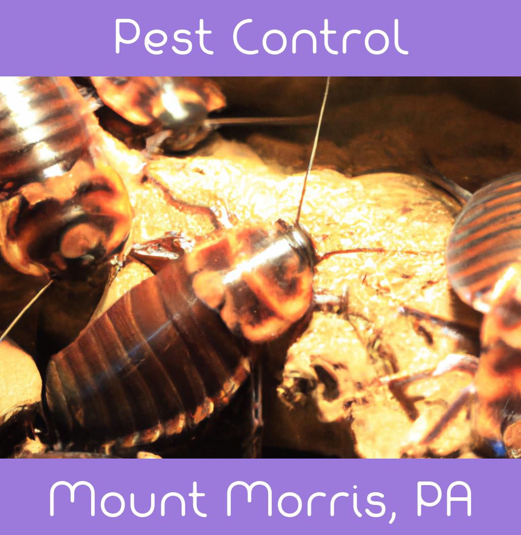 pest control in Mount Morris Pennsylvania