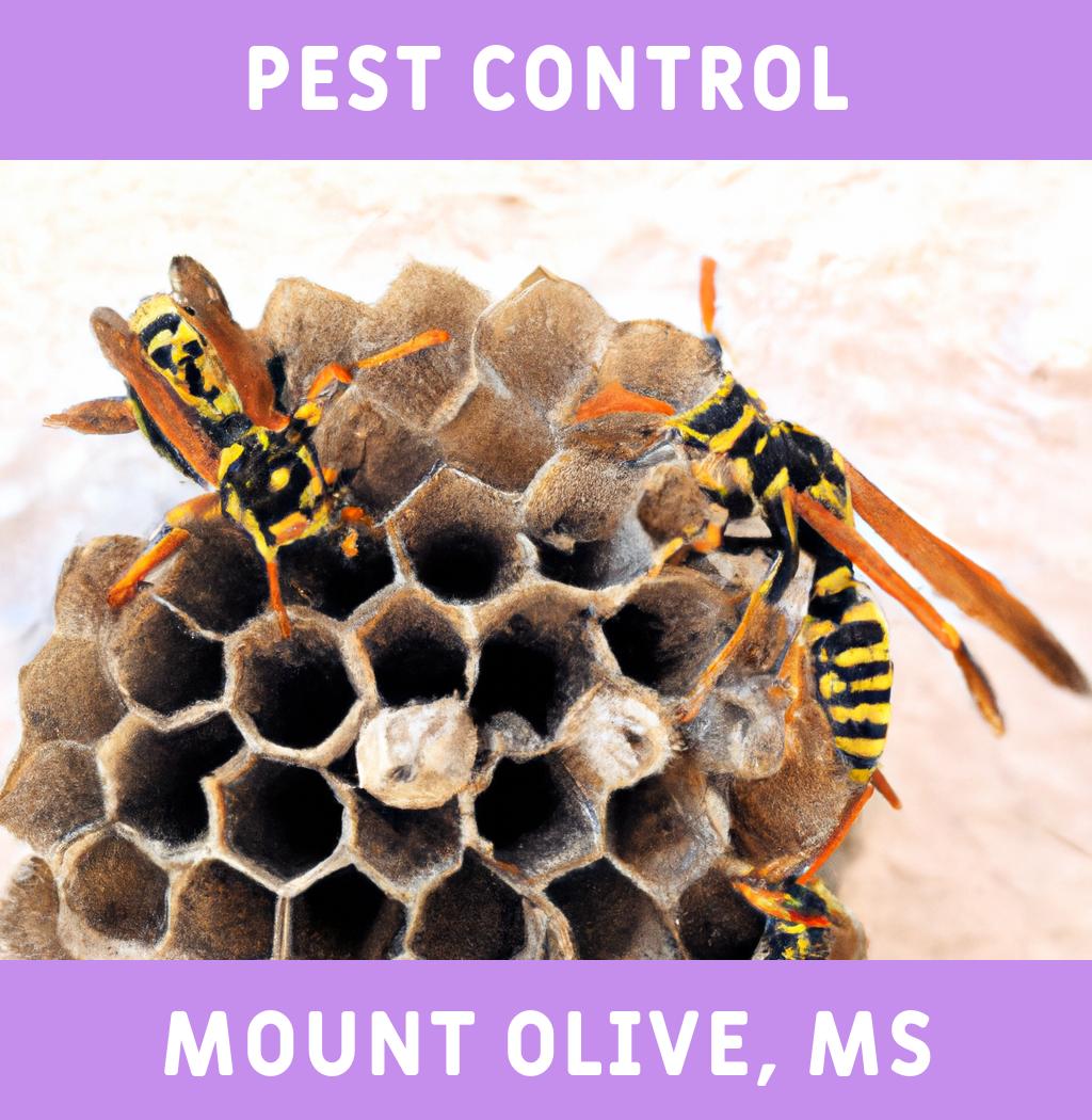 pest control in Mount Olive Mississippi