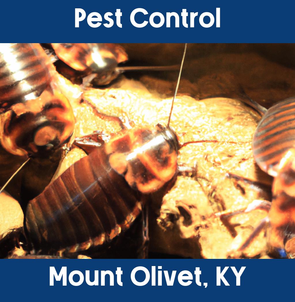 pest control in Mount Olivet Kentucky