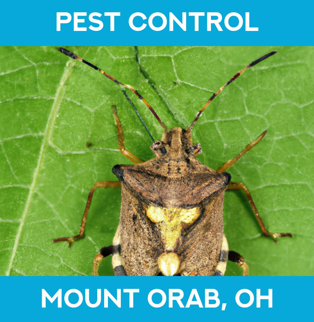 pest control in Mount Orab Ohio