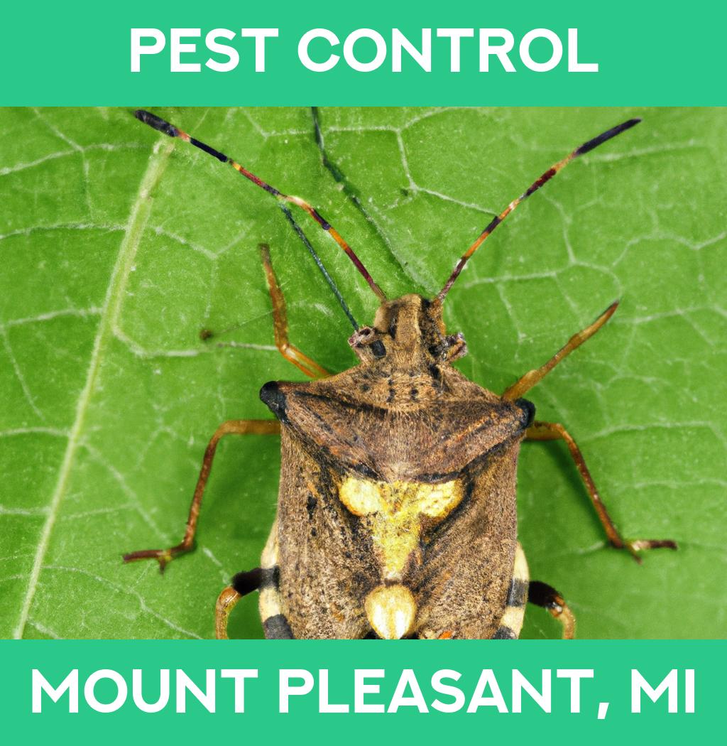 pest control in Mount Pleasant Michigan
