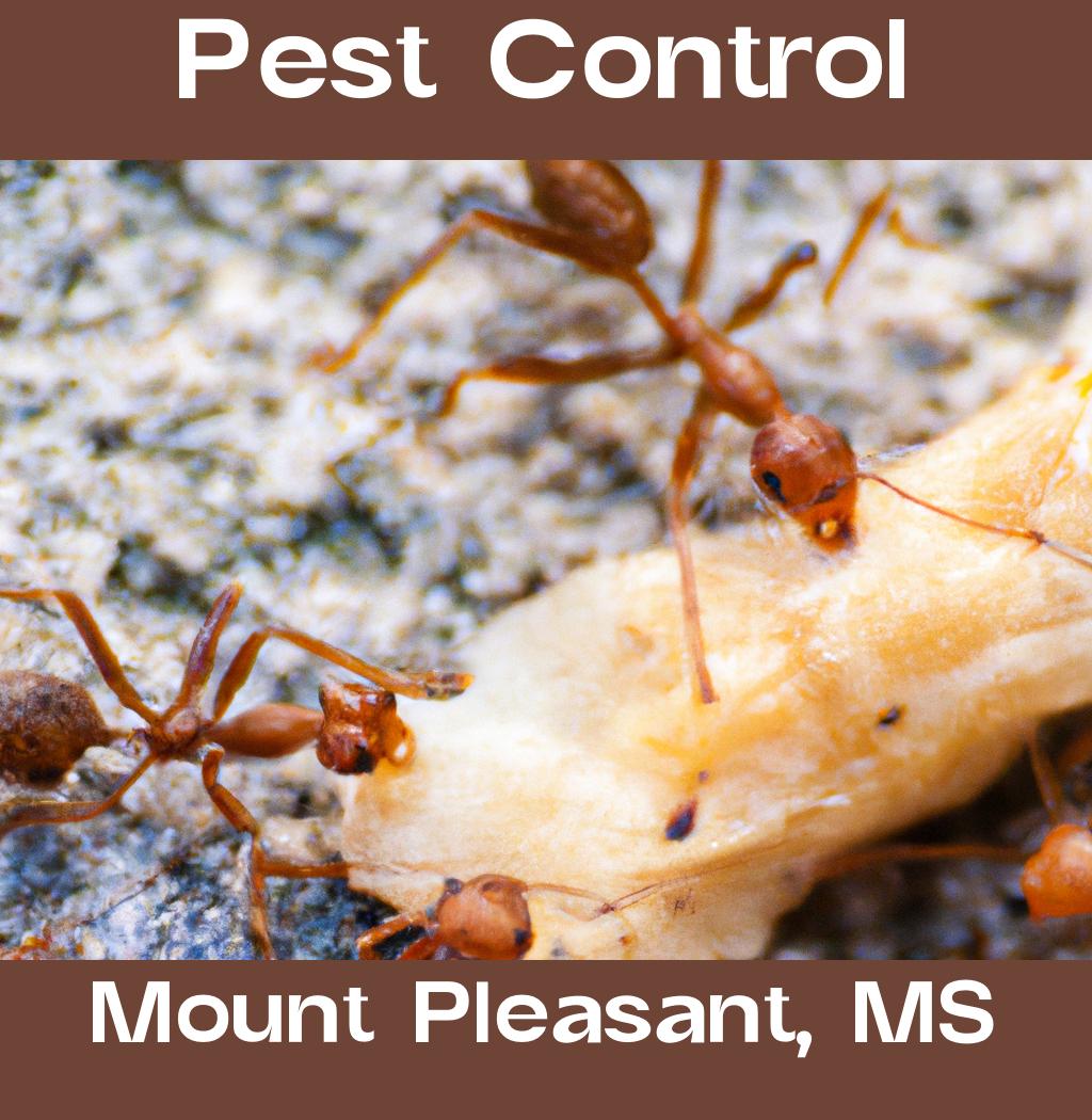 pest control in Mount Pleasant Mississippi