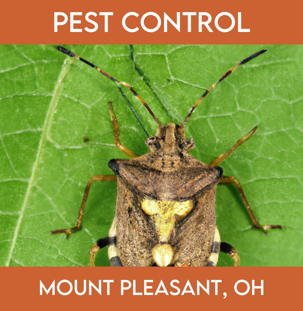 pest control in Mount Pleasant Ohio