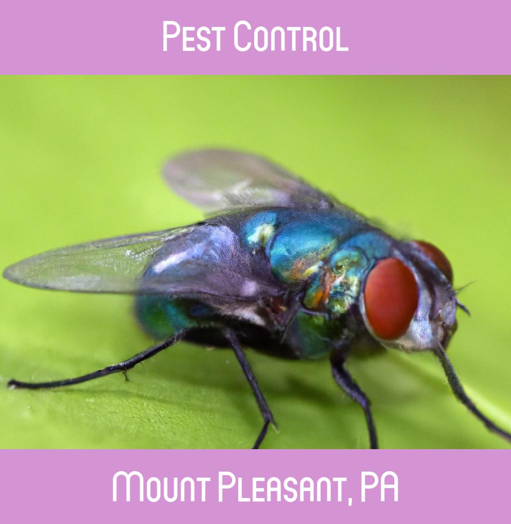 pest control in Mount Pleasant Pennsylvania