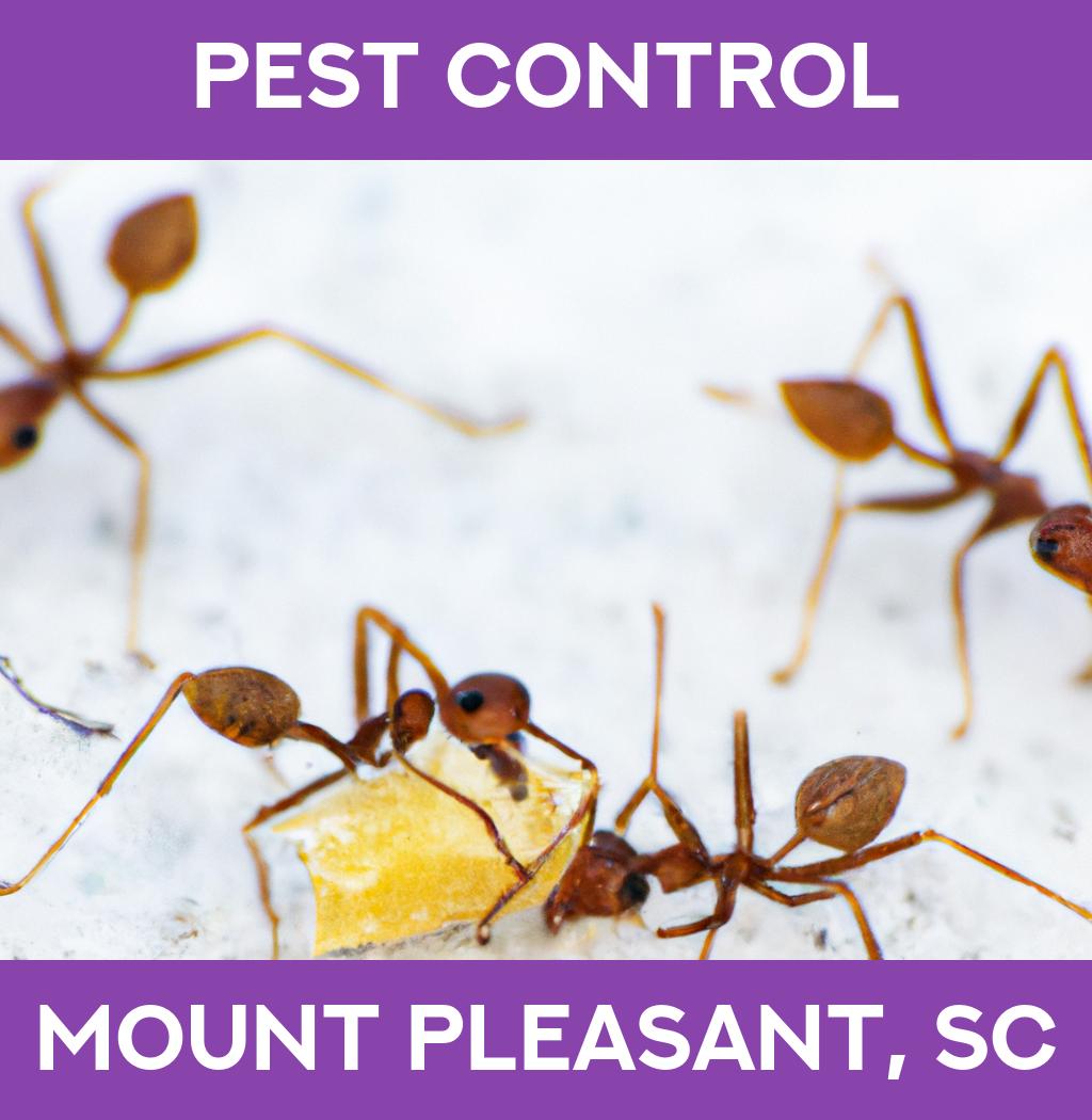 pest control in Mount Pleasant South Carolina