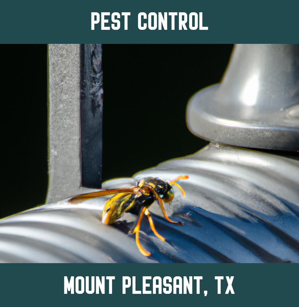 pest control in Mount Pleasant Texas