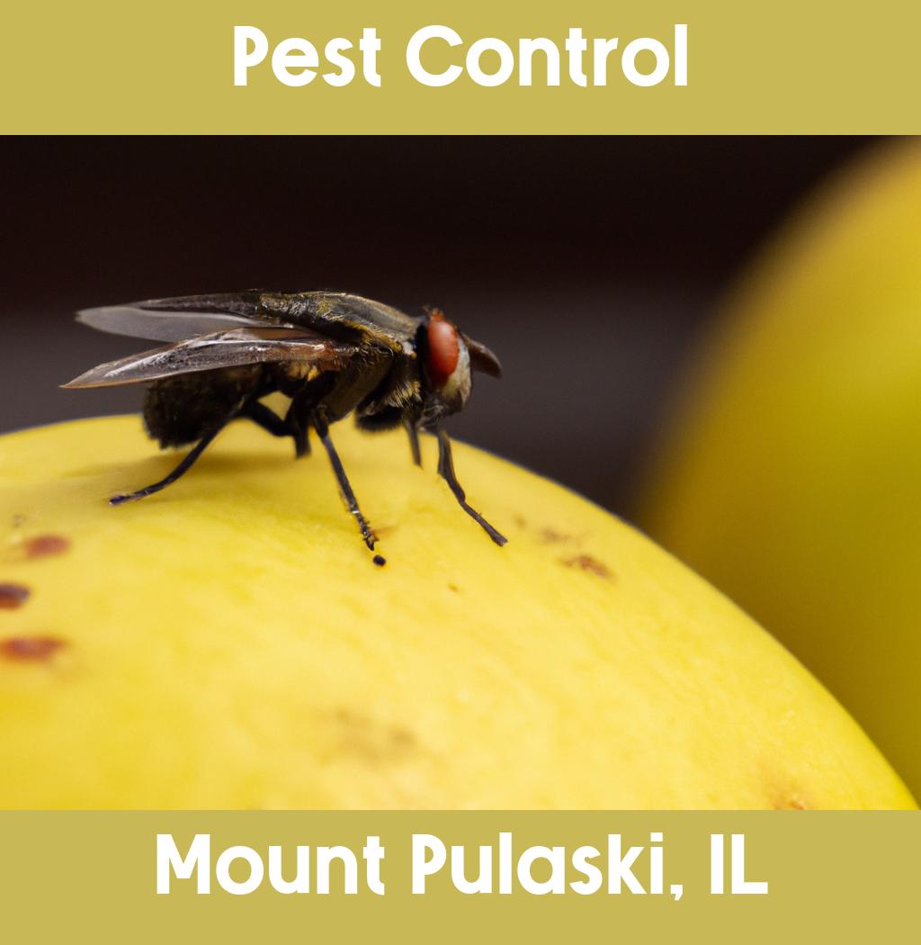 pest control in Mount Pulaski Illinois