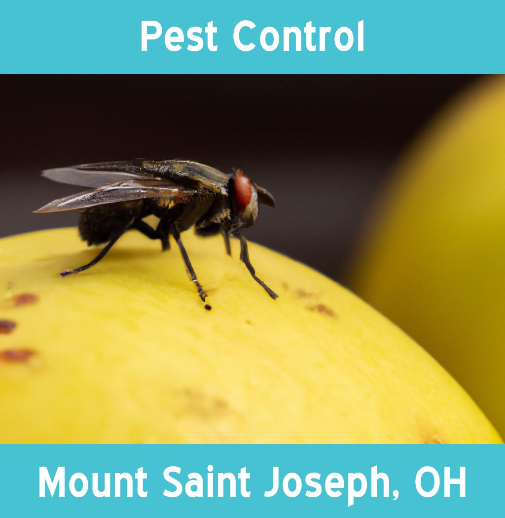 pest control in Mount Saint Joseph Ohio
