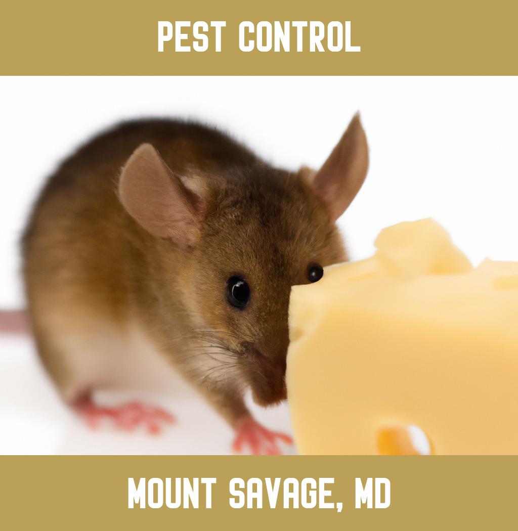 pest control in Mount Savage Maryland