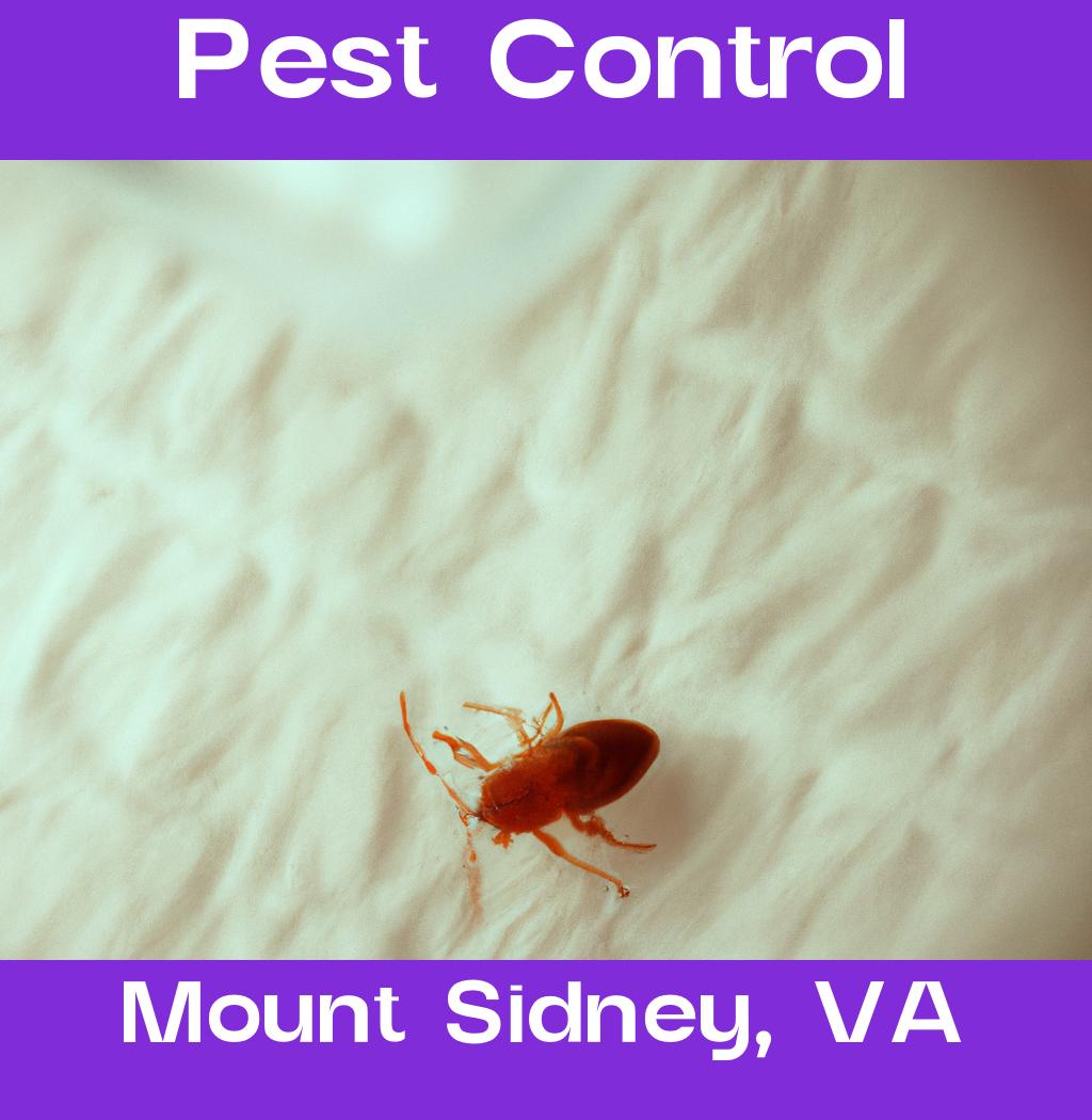 pest control in Mount Sidney Virginia