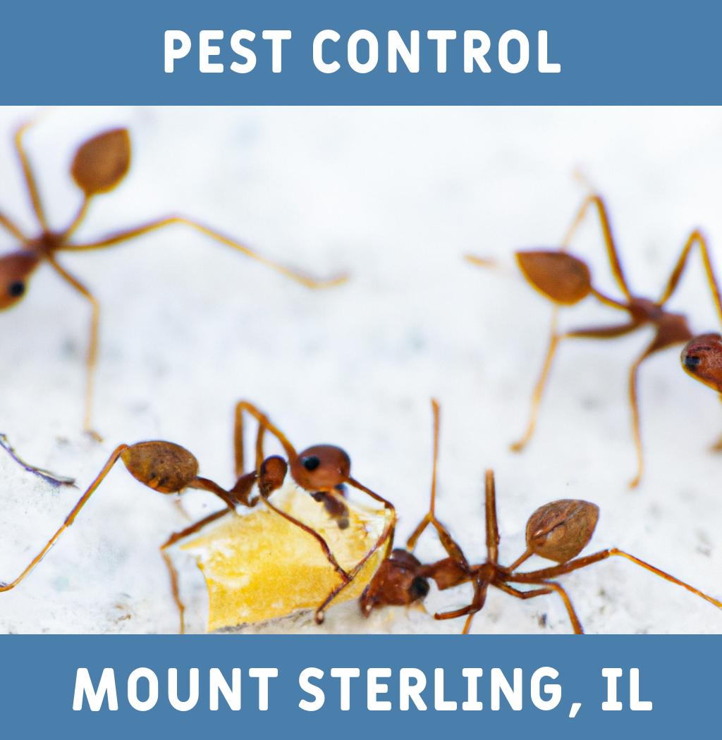 pest control in Mount Sterling Illinois