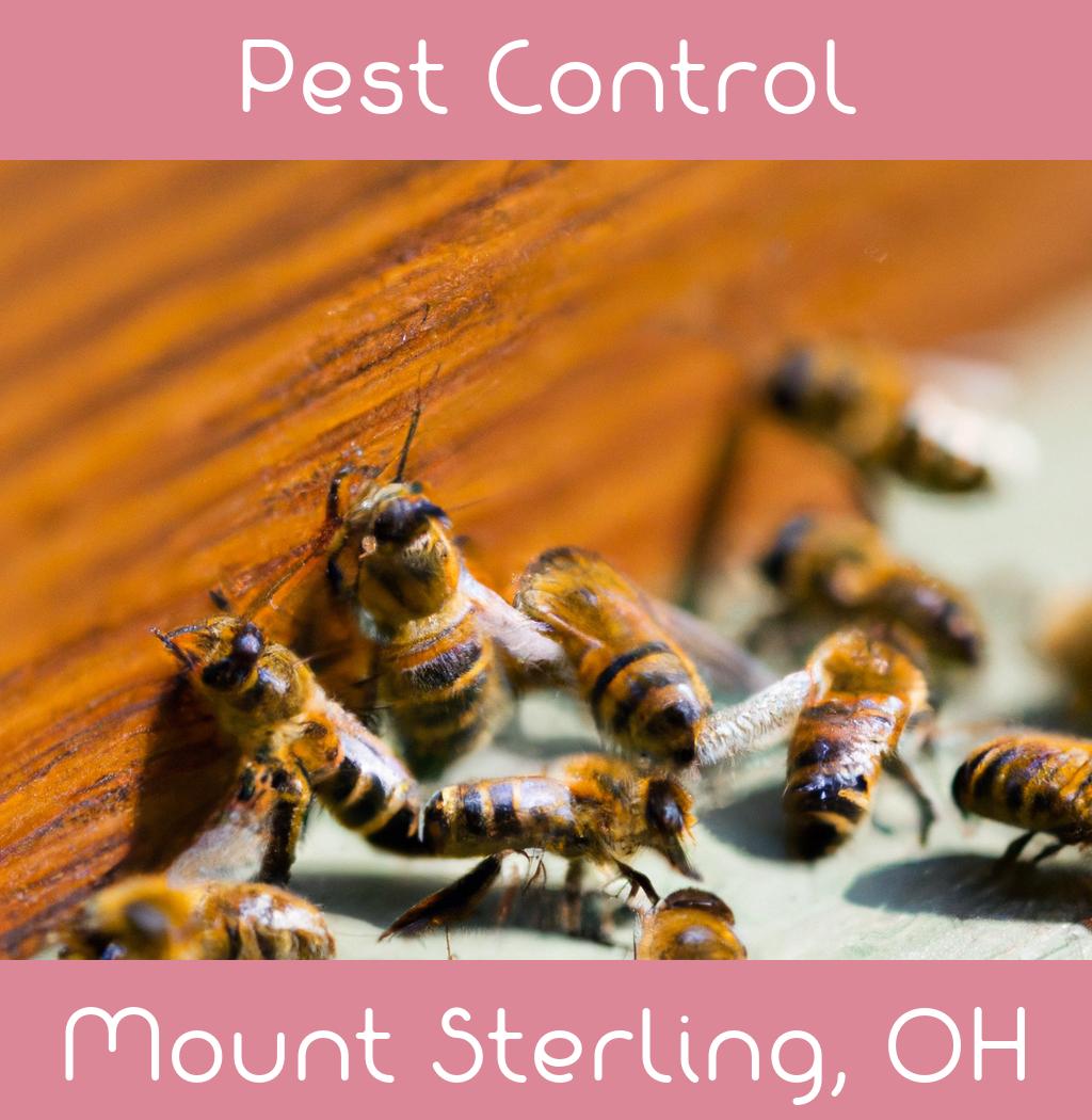 pest control in Mount Sterling Ohio