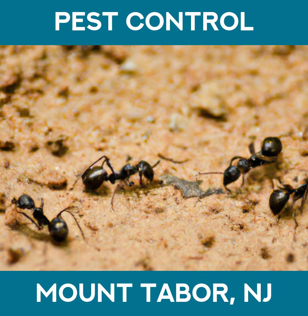 pest control in Mount Tabor New Jersey