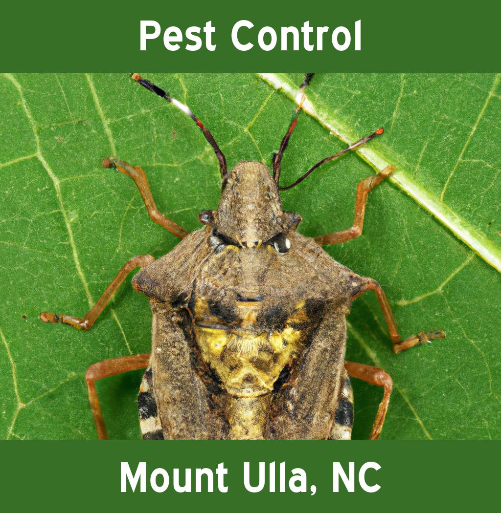 pest control in Mount Ulla North Carolina