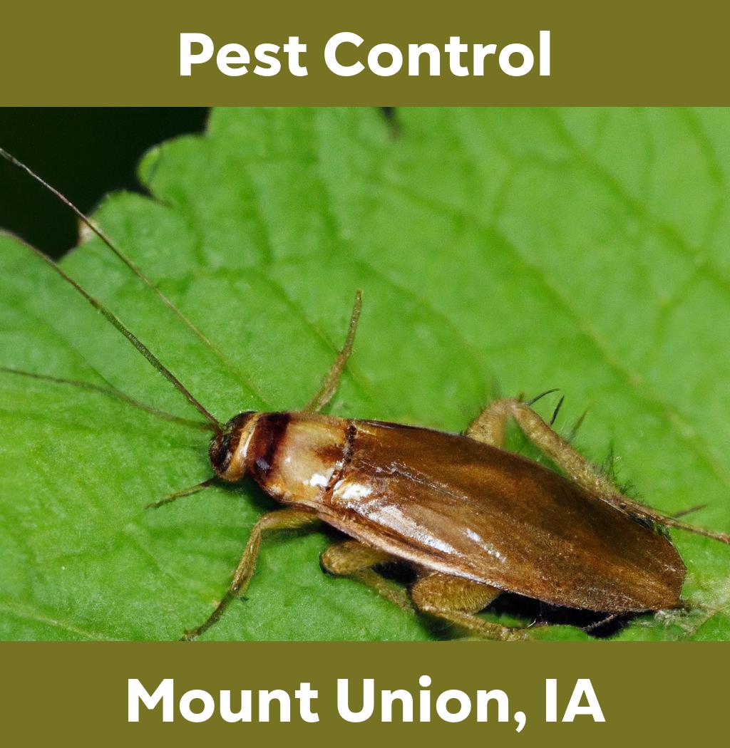 pest control in Mount Union Iowa