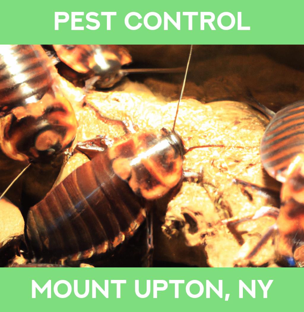 pest control in Mount Upton New York