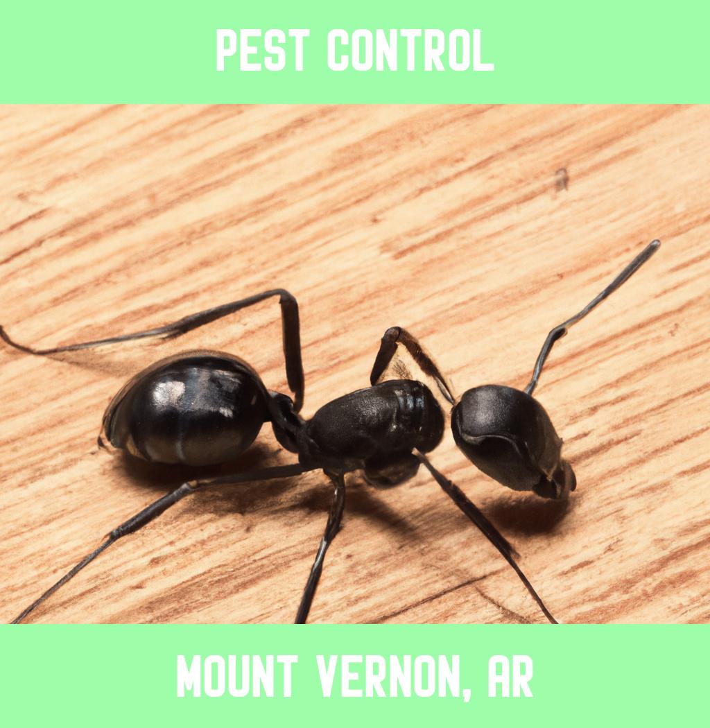 pest control in Mount Vernon Arkansas