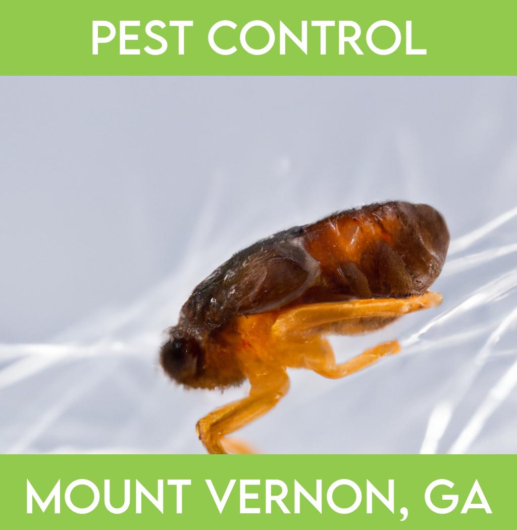 pest control in Mount Vernon Georgia